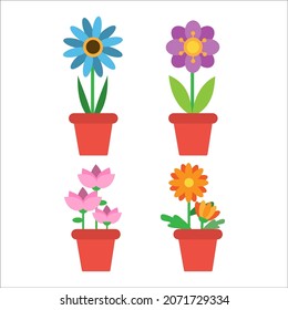 flowers in pot nature plant