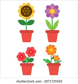 flowers in pot nature plant