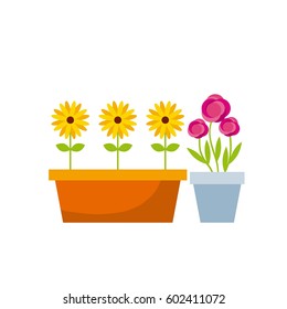 flowers in a pot over white background. colorful design. vector illustration