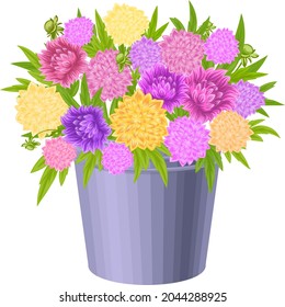 Flowers in a pot, plants for home and garden.