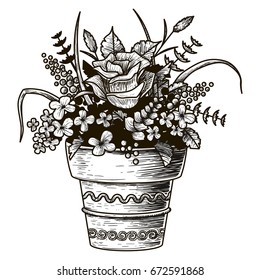 Flowers in a pot. Sketch illustration. Isolated vector. Hand drawn