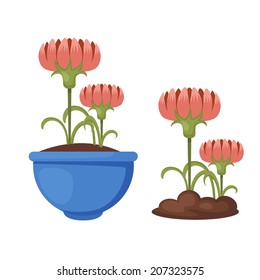 flowers in pot vector