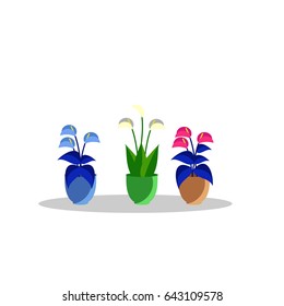 flowers in a pot vector
