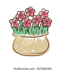Flowers in a pot. Vector illustration.
