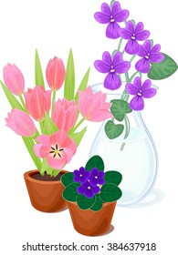 Flowers in pots