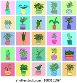 Flowers in pots and cacti in frames form a seamless pattern on a colored background.