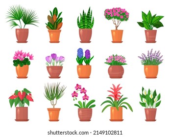 Flowers pots. Colored nature collections of leaves and flowers for interior decorated recent vector templates set