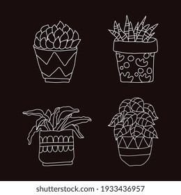 flowers pots colorless design. vector illustration