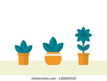 flowers pots decoration on table.