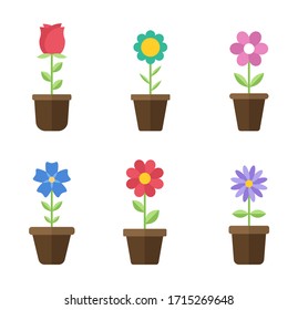 Flowers in pots flat icons. Color vector illustration. Different flowers in pots with green leaves vector illustration. Logo design, business and promotion concept