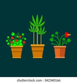 Flowers in pots flat style. Set of flat flowers on white background. Flowers in pots - vector illustration. Flowers icon illustration. Collection flowers vector illustration. Green flowers.