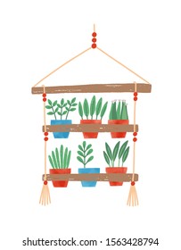 Flowers in pots flat vector illustration. Hanging shelf for plants. Home interior design element, coziness item. Domestic decorative plants. Flowerpots isolated on white background.