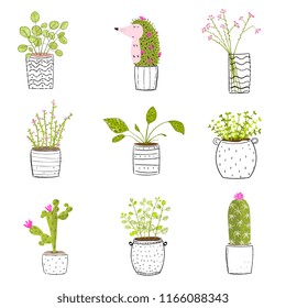 Flowers in Pots Hand Drawn. Set of flowers in pots vector hand drawn set.