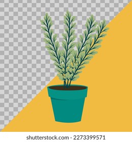 flowers in pots. illustration flat image. vector hand drawn