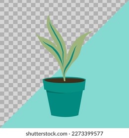 flowers in pots. illustration flat image. vector hand drawn