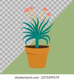 flowers in pots. illustration flat image. vector hand drawn