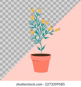 flowers in pots. illustration flat image. vector hand drawn