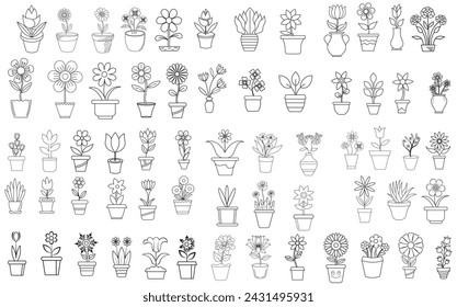 Flowers and pots, interior design, beautiful flowers plants, Plant outline drawing vector set, succulents in pots. Flowers in a pot.