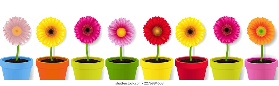 Flowers And Pots Isolated Border White Background , Vector Illustration