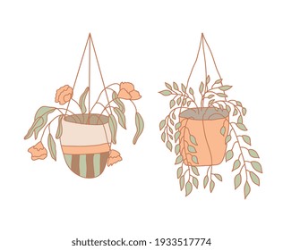 flowers pots with flowers isolated over white background. vector illustration