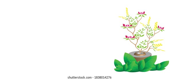 Flores en macetas Aisladas de fondo blanco