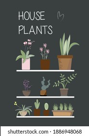 flowers in pots on the shelves. plants for the home. garden on the windowsill. suitable for the design of brochures, postcards, magazines about the garden and plants at home