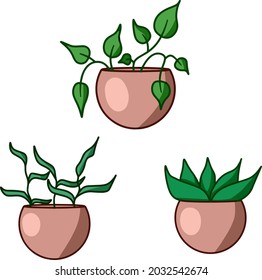
Blumen in Töpfen originelles Design. Vektorgrafik für Druck, Design, Muster. Hausblumen, Topfpflanzen.
