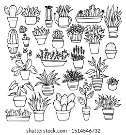 137,001 Potted plant black background Images, Stock Photos & Vectors ...