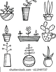 Flowers in pots painted black line on a white background. Vector illustration