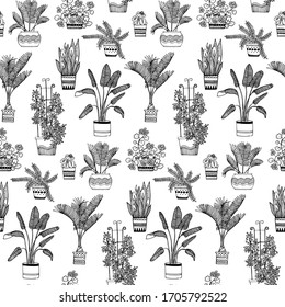 Flowers in pots pattern. Geranium, palm, fern, lily. Hand-drawn, Doodle style 