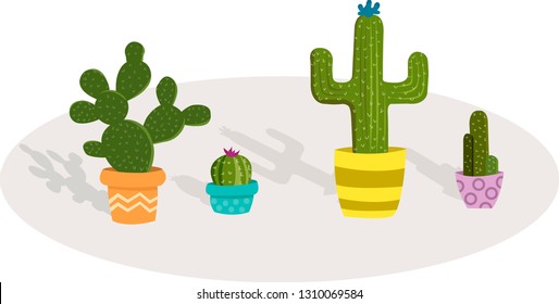 flowers in pots potted cactus