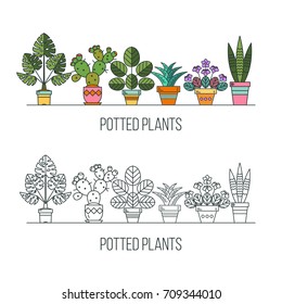 Flowers in pots. Potted plants. Vector illustration. Isolated on white background.
