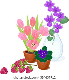 Flowers in pots and raspberries