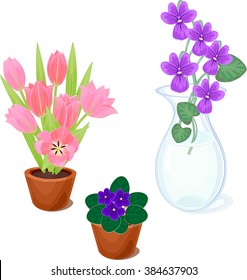Flowers in pots set