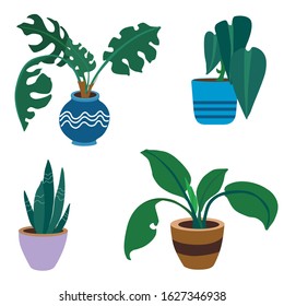 flowers in pots set, vector illustration isolated on white background