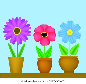 Flowers in pots / Several pots of summer flowers