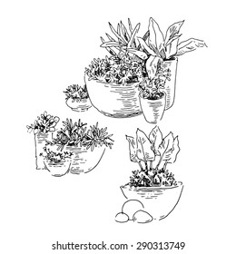 Flowers pots sketch collection. Vector line artwork. Garden design.
Usage for ecology, nature, garden, plants themes. European old street element.