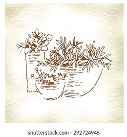 Flowers pots sketch collection. Vector line artwork. Garden design.
Usage for ecology, nature, garden, plants themes. European old street element.