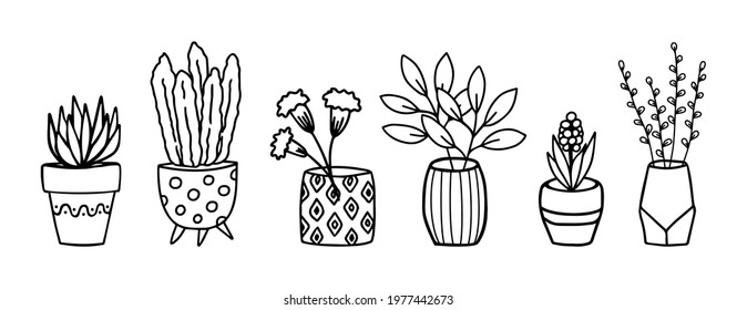 Flowers in pots and vases doodle hand drawn outline sketch