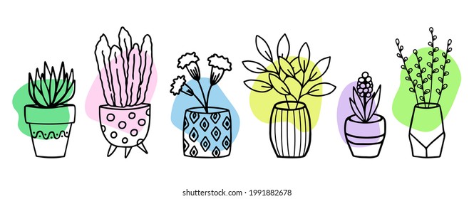 Flowers in pots and vases doodle hand drawn outline sketch with color shapes. Decorative potted house plant sketch. Isolated vector illustration