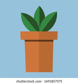 flowers in pots Vector Vector