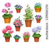 Flowers in pots.  Vector collection