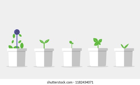  Flowers in pots. Vector illustration.