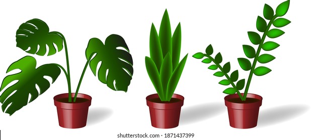 flowers in pots. vector illustration