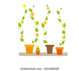 Flores en macetas.  Ilustración vectorial de plantas parpadeantes con flores y hojas verdes de fondo blanco aislado. Plantas en la ventana. Semilla de diseño de embalaje.