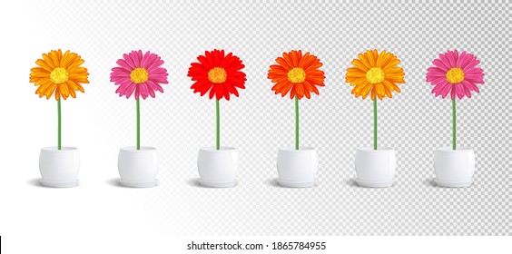 Flowers in pots vector stock illustration. Collection of multicolored flowers on transparent background. Beautiful natural home decorations. Interior sticker