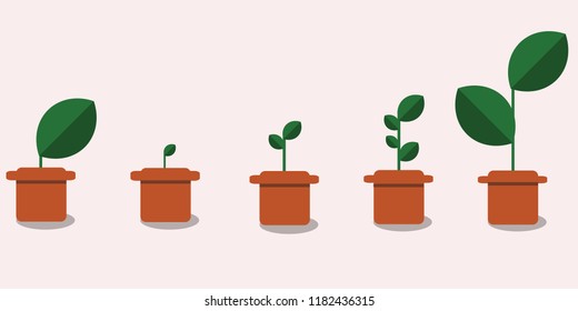 Flowers In Pots,Vector Illustration