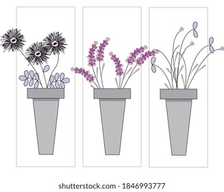 flowers in purple colour isolated on white background 