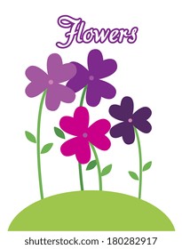 flowers purple design over white background vector illustration 