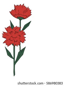 flowers red with green carnations on white background. Vector illustration. May 9.